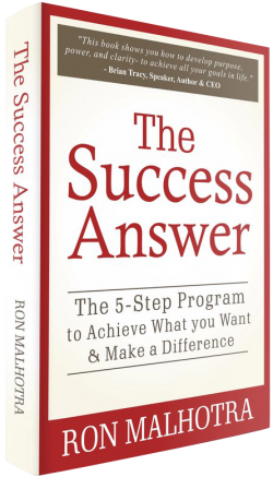 The Success Answer - Book Cover 3D copy (1)